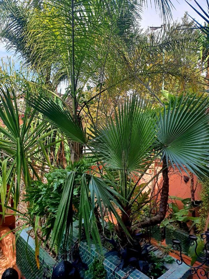 Villa Amira & Spa Marrakesh Exterior photo